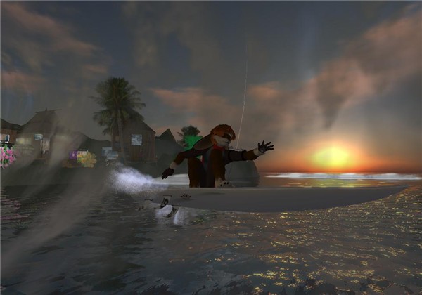 Aloha!  Wish you were here! - Socks Clawtooth