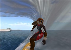 An open invitation - Socks Clawtooth