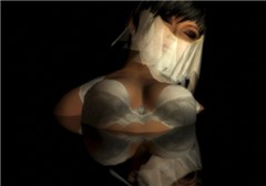 veil 2