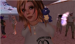 Saxet at Ranger Training - EmCee Widget