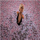 Sin dreaming in a field  of flowers