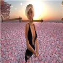 Sin dreaming in a field 1