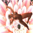 Sensual Sin at a flower 4