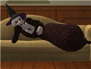 Old Witch - levitation well resting