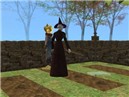 Old Witch - gardening in the rain