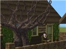 Old Witch at Wicca Cottage