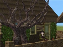 Old Witch at Wicca Cottage