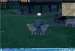 Cloning issues