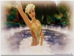 THE LAKE OF THE SWANS