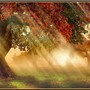 Autumn Mist