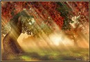 Autumn Mist