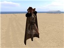 Burning Life Costume