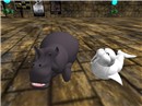 hippo_005