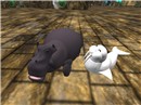 hippo_004
