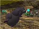 hippo_001