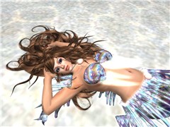 winds_008