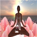 sin meditation at the flower