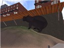 Snapshot_003