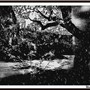 Templum ex Obscurum in B&W
