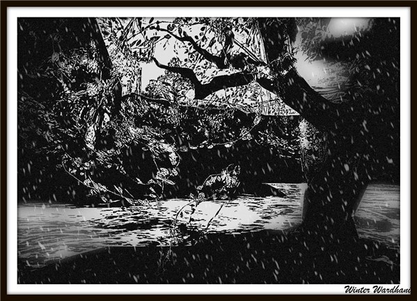 Templum ex Obscurum in B&W