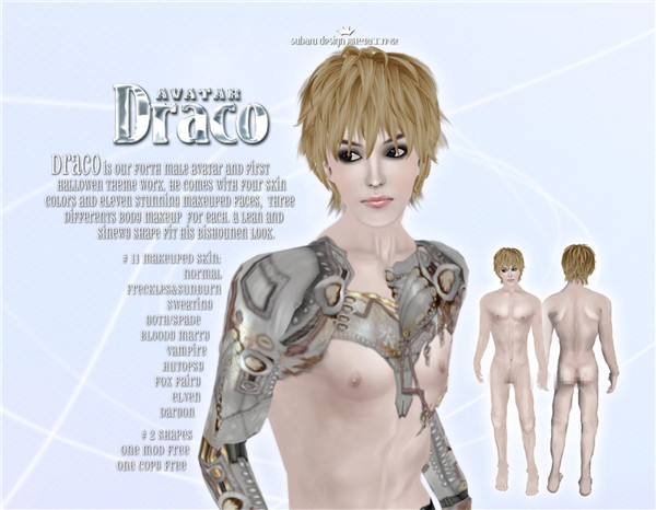 DRACO AVATAR SNOW POSTER
