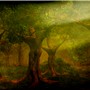 Sunkissed Forest