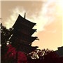Autumn in Kyoto