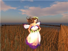 manomio_001