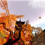 Autumn of Gion - Sammy Biddle