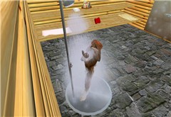 Bunny shower pic - Socks Clawtooth