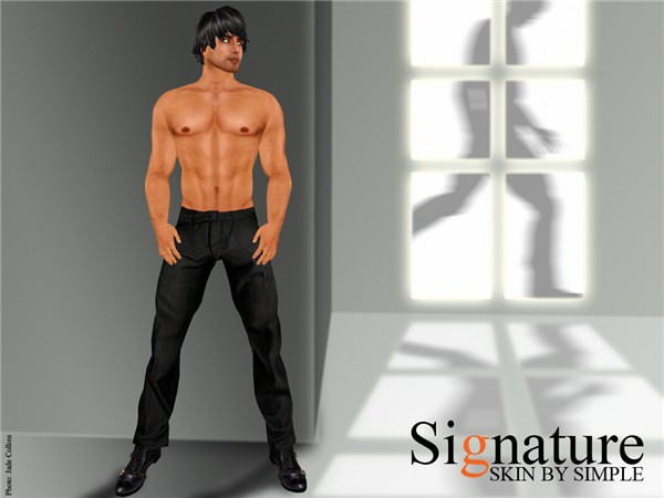 Signature Skins Ad Campaign -- Chase 2008