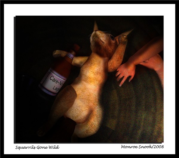 squirrils gone wild - monroe snook copy