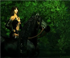 Shadow in the woods