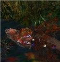 Ophelia
