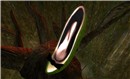 green slipper - Torley Olmstead