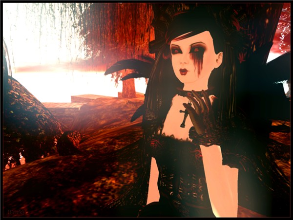 Vengeance 4