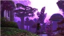 Beautiful Darnassus