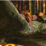 Snapshot_018