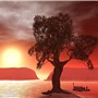 look ma! made a new setting called "Canyon dreams red" - Torley Olmstead