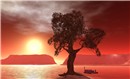 look ma! made a new setting called "Canyon dreams red" - Torley Olmstead