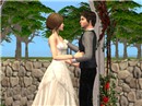 snapshot_f53cfb2e_5547776b