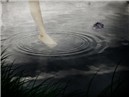 Feel the water
