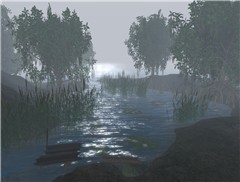 Ildarian Isle - Ivus Forager