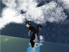 First night Surfing