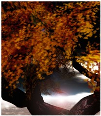 Autumn