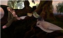 Just one of the birds - DeltaDharmaDawn Aubret