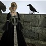 Aldarian Isle_181
