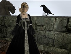 Aldarian Isle_181
