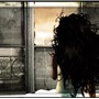 Dirty Window