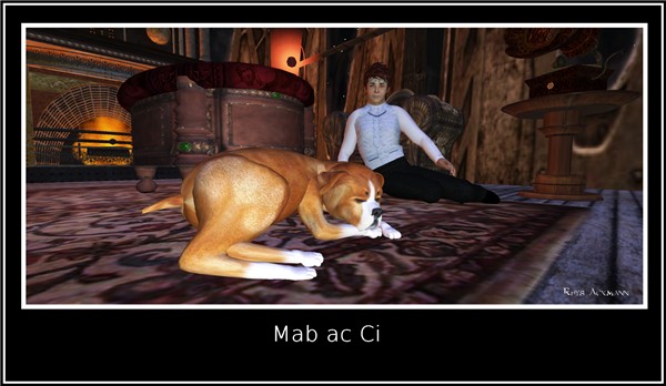 mab ac ci